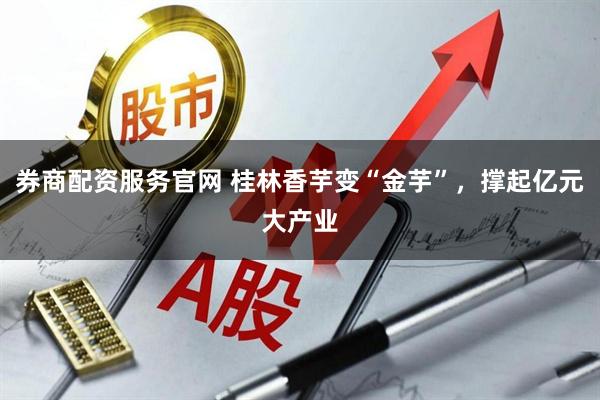券商配资服务官网 桂林香芋变“金芋”，撑起亿元大产业
